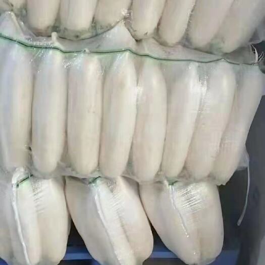 凌源市 精品白萝卜，产地直发，诚信代办，物美价廉。