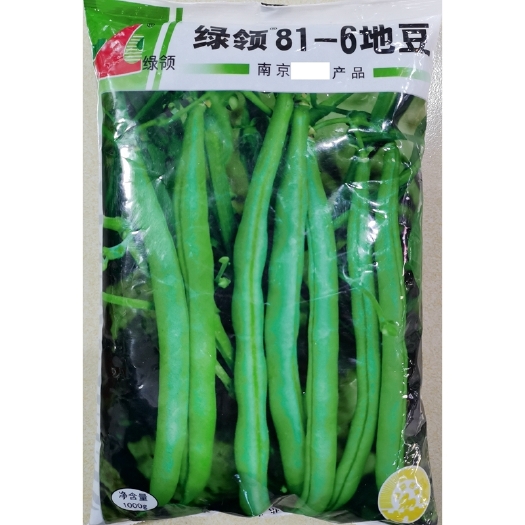 株洲绿领无架四季豆种子(2斤装），无架地豆种子，新货上市早熟丰产