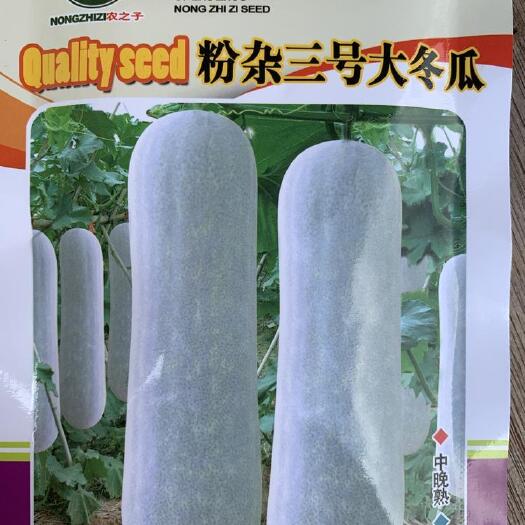 粉杂三号大冬瓜种子，10克，果粉，肉厚，白色，内腔小，肉质密