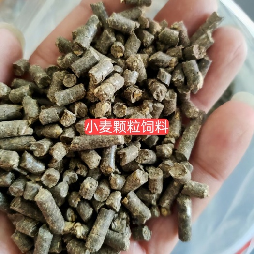 正定县禾谷饲料 小麦颗粒饲料 粮站筛选下来的次小麦制作比草合适