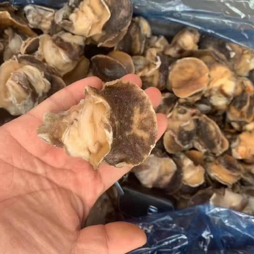 连云港香螺肉  沙螺肉   干冰  无冰衣    物美价廉