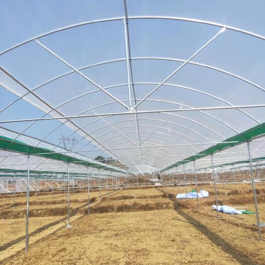 惠东县种植大棚 专业温室大棚安装设计上门服务