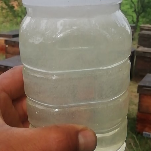 磁县枣花蜜 蜂蜜蜂蜜！真蜂蜜，不是浓缩蜜，更不是糖稀勾兑的，也不是化学