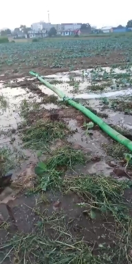 临汾 400多亩，成片空地水浇地，适合种药材和蔬菜等低杆作物