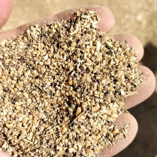 商丘面包下脚料  小麦下脚料  小麦下脚料 草籽麦供应