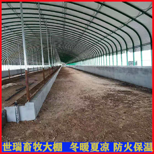 宁津县养殖大棚 新型养牛大棚搭建牛舍大棚建设肉牛养殖棚安装