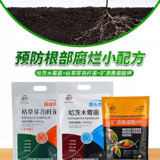 诸城市芽孢杆菌 山东禾绿源防根腐套餐预防根部疾病抗病提高肥效活