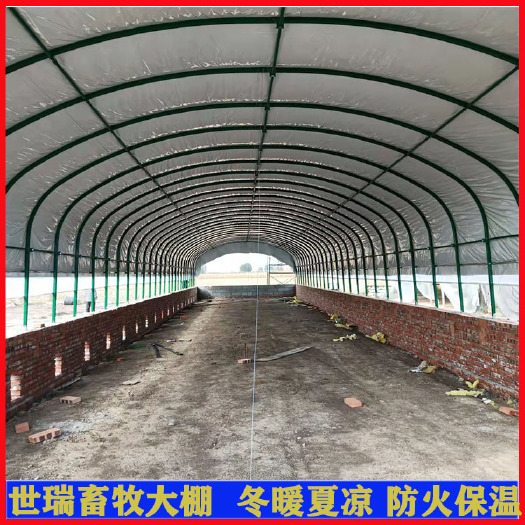 宁津县养殖大棚 搭建养鹅大棚肉鹅养殖棚建设保温养鹅棚安装