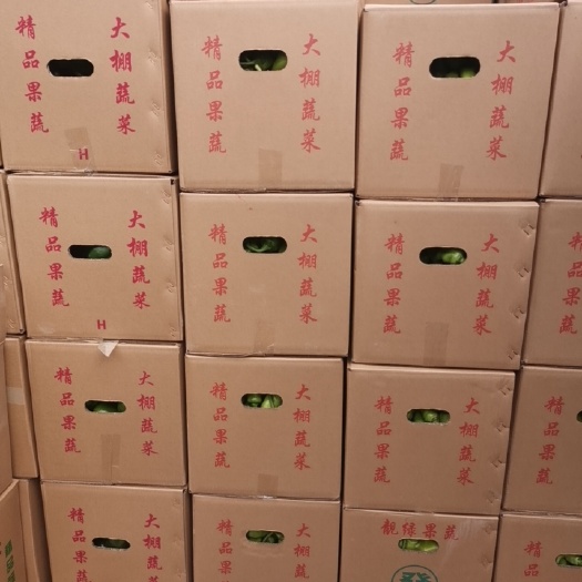 诏安县黄皮辣椒  黄皮尖椒 螺丝椒 方椒 线椒 长椒 ，福建大棚辣椒
