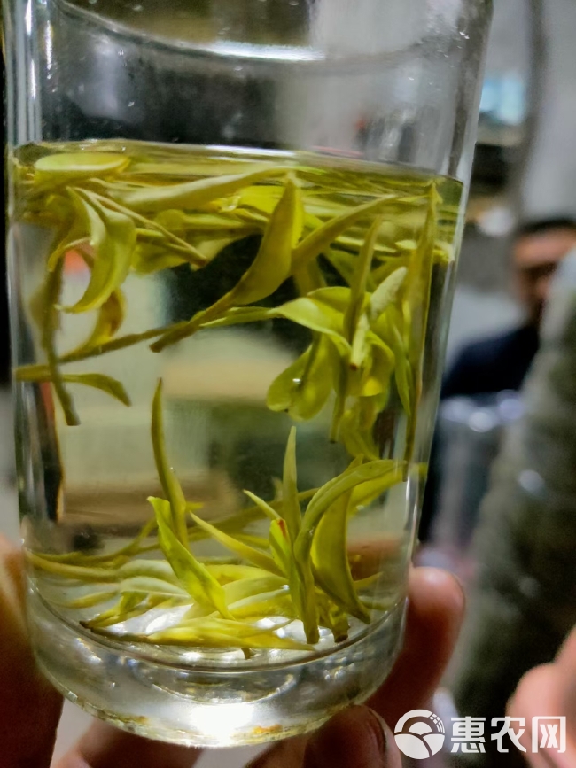 银毫茶  绿茶硒茶黄金芽茶叶芽茶春茶明前茶