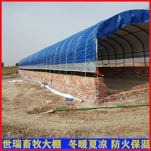 宁津县 养鸭大棚安装肉鸭养殖棚施工蛋鸭养殖大棚建造厂家