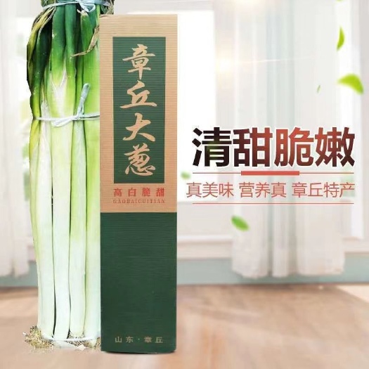 济南 章丘大葱
