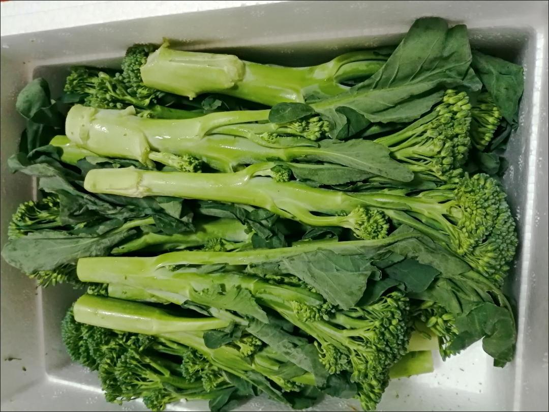 西兰苔云南产区精品蔬菜，服务各种蔬菜采购发货，欢迎大家了解，