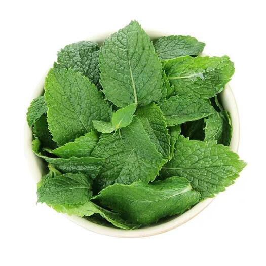 昆明 薄荷叶云南产区精品蔬菜，服务各种蔬菜采购发货，欢迎大家了解