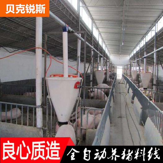 青州市养猪场自动喂料机猪舍投料机母猪育肥养殖用电机塞盘料线全套设备