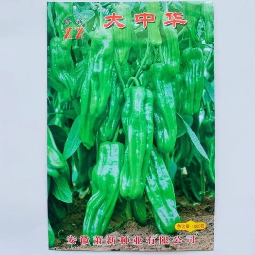 沭阳县蔬菜种子辣椒种籽薄皮辣椒种子一代杂交辣椒种孑高产农家四季种植