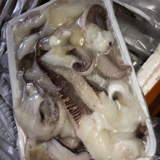 斑乌贼 墨鱼须，口感Q弹，适合下酒、下饭，爆炒，烧烤，平民价格