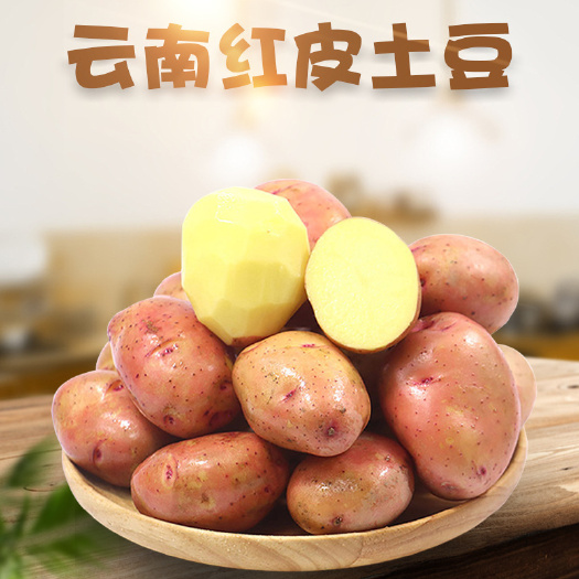 红河县红土豆  云南红皮土豆黄心马铃薯洋芋新鲜蔬菜粉糯农家产品代发
