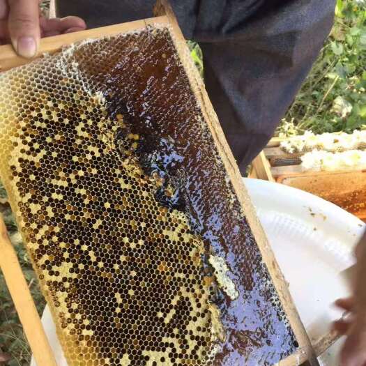 高州市无加工蜂蜜