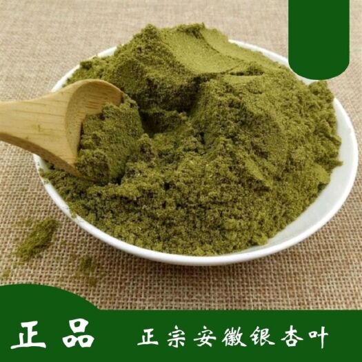 亳州中药材  超细银杏叶粉 精选细磨银杏叶粉 包邮送量勺