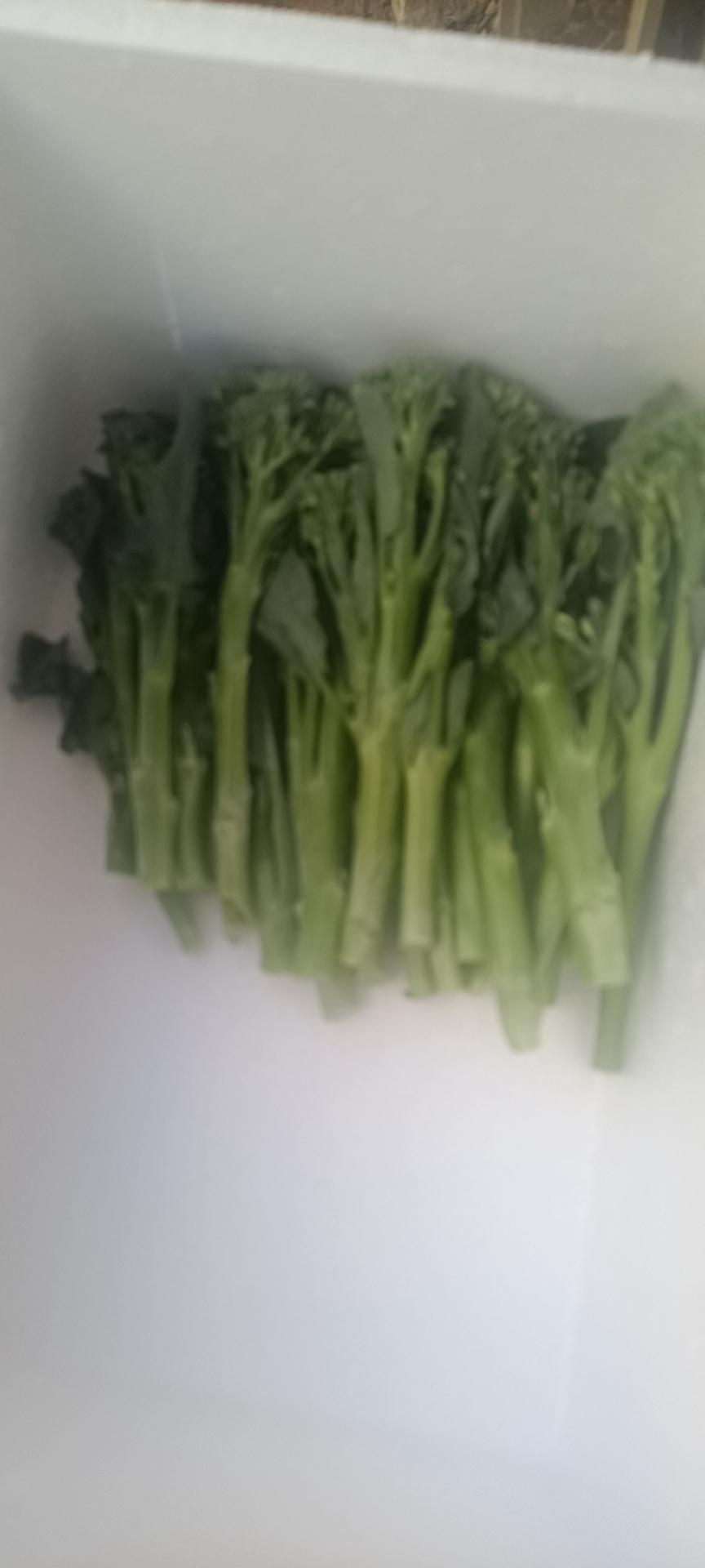 西兰苔云南产区精品蔬菜，服务各种蔬菜采购发货，欢迎大家了解，