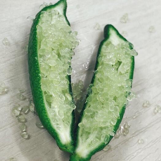 灵山县柠檬苗 手指柠檬  多肉   多肉
