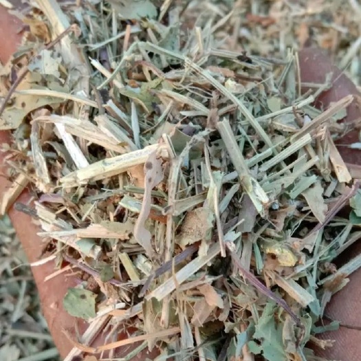  花生秧秸秆牛马羊草