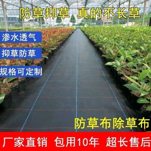 寿光市出口防草布，渗水保湿、透气，抗晒，厂家直销！！！
