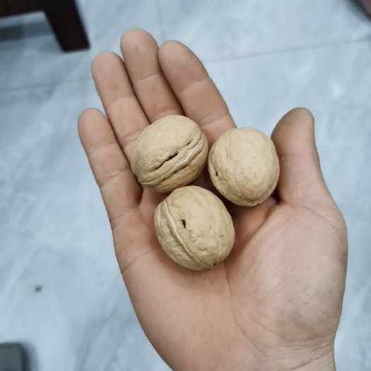 黄龙县核桃，香玲核桃，黄龙核桃，黄龙香玲核桃，当年新核桃。