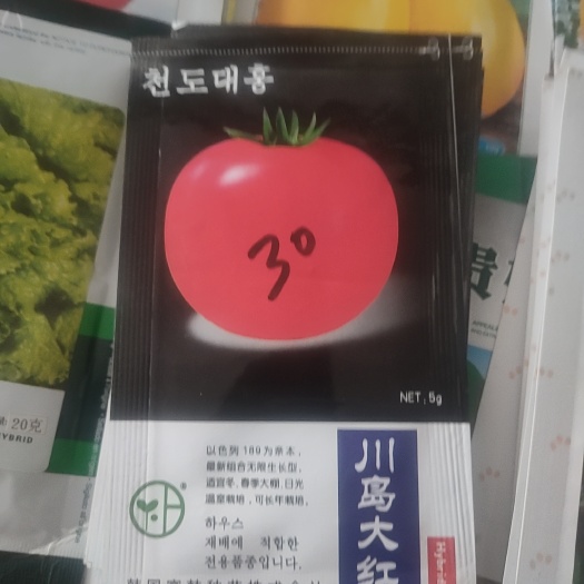  各种西红柿种子