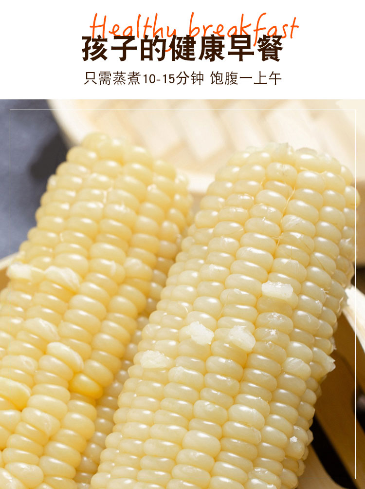 2023年应季东北白糯玉米，甜糯可口