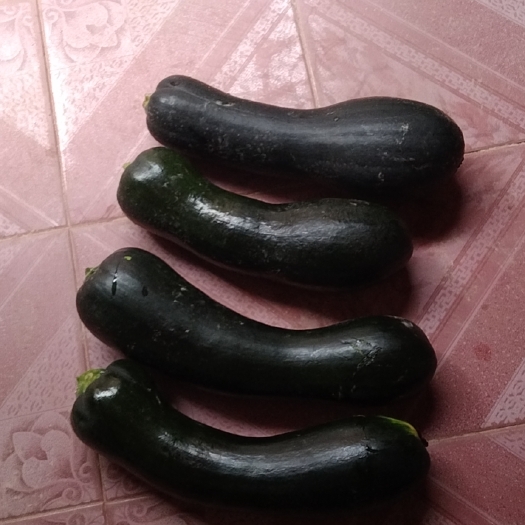 南宁 精品鲜南瓜