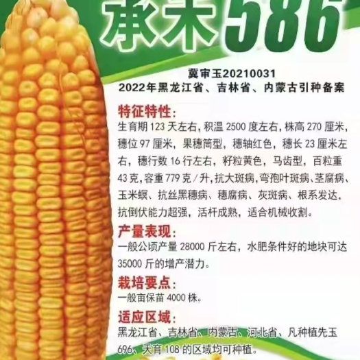 沛玉336 玉米种子