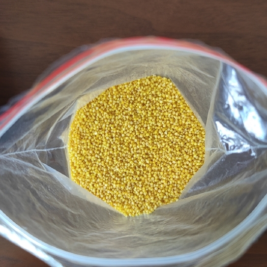 苏州 山西黄小米