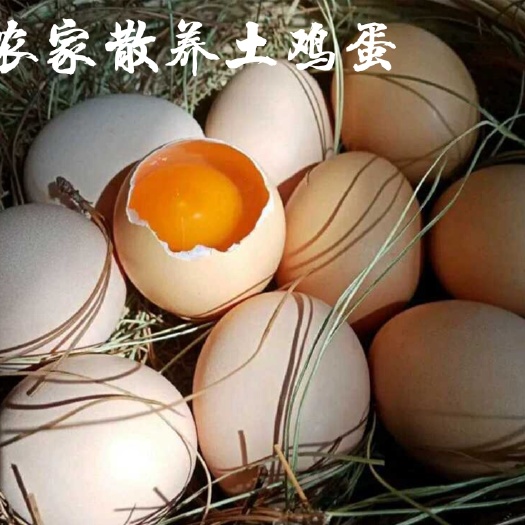 中牟县 农家散养土鸡蛋