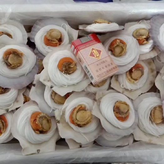 济南粉丝扇贝 半壳大扇贝蒜蓉粉丝贝烧烤火锅食材