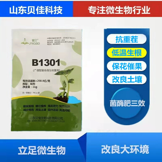 潍坊1301微生物菌剂大姜蔬果生根壮苗膨果防线虫防根腐冲施滴灌肥