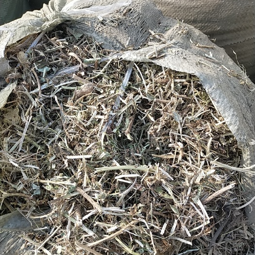 蒙阴县花生秧 牛 羊 马 