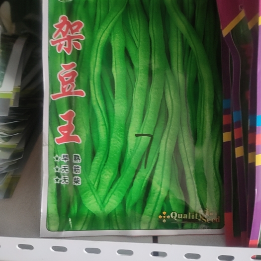  豆角种子