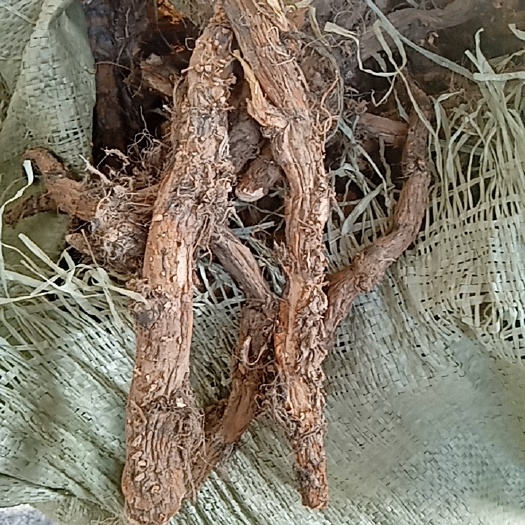 光山县水菖蒲 大别山特产
批发零售