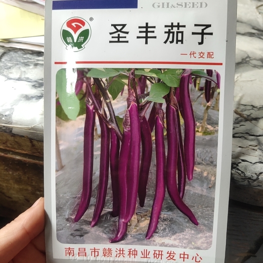 余干县 圣丰茄子种子，早熟耐寒，一代交配