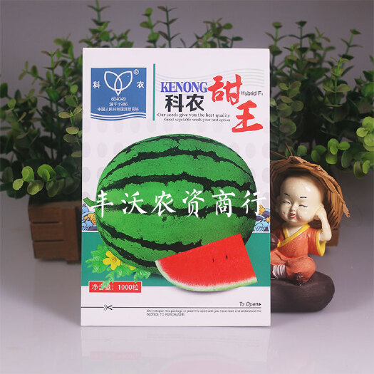 樟树市 全新甜王西瓜种子高产超甜双红瓤科农优质新品适合南北方种植