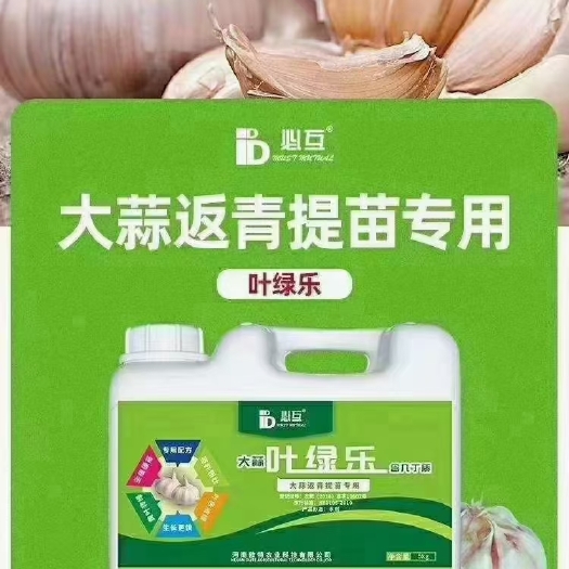长葛市提苗壮稍套餐 大蒜返青提苗专用含氨基酸海藻素