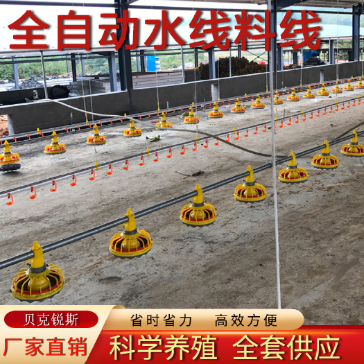 青州市养鸡场自动喂料机鸡用设备全套投上料机升降鸡舍绞龙养殖水线料线