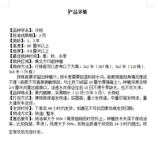 网棚无病毒 沃柑苗 广西嫁接沃柑果树苗