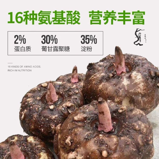 富源县花魔芋 云南曲靖市富源县后所老品种魔芋，现挖鲜品，精品