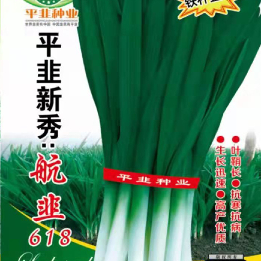 平顶山韭菜种子 航韭618新品宽叶大条韭菜籽纯度高四季大棚不休眠