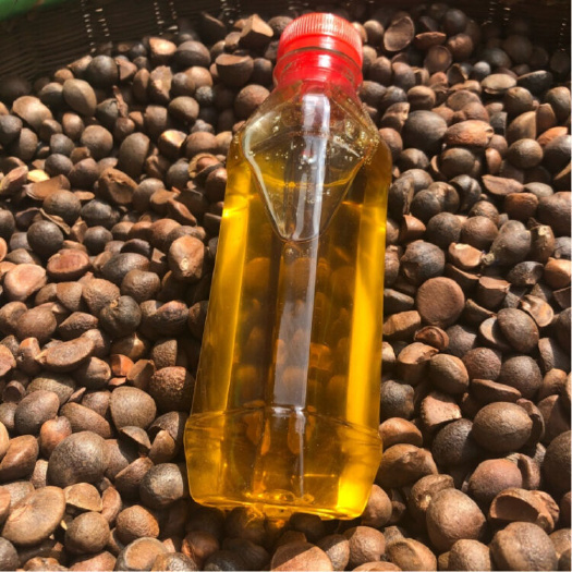遂昌县山茶油  高山农家茶油