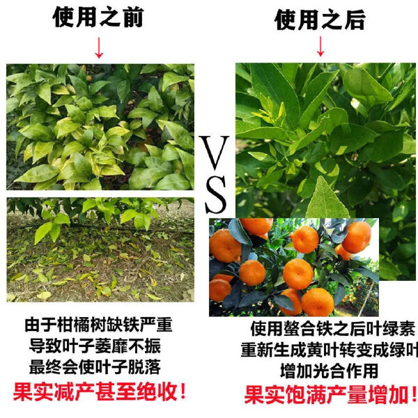 螯合铁EDTA-FE铁肥叶面肥花卉绿植柑橘黄化黄叶病果树补铁