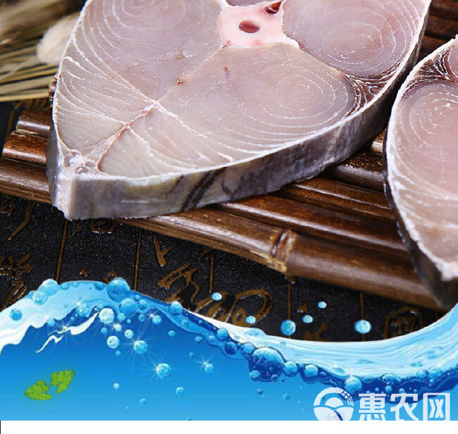 【包邮】马鲛鱼新鲜全中段湛江特产海鲜鲅鱼马交鱼冰冻新鲜